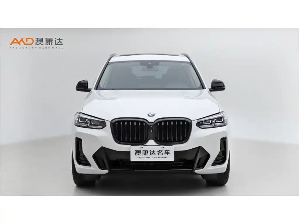 BMW X3 — миниатюра 2