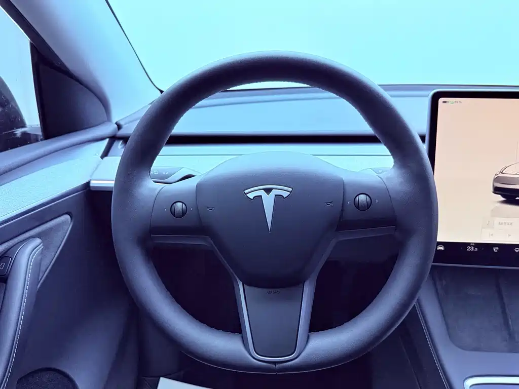 Tesla Model Y — миниатюра 11