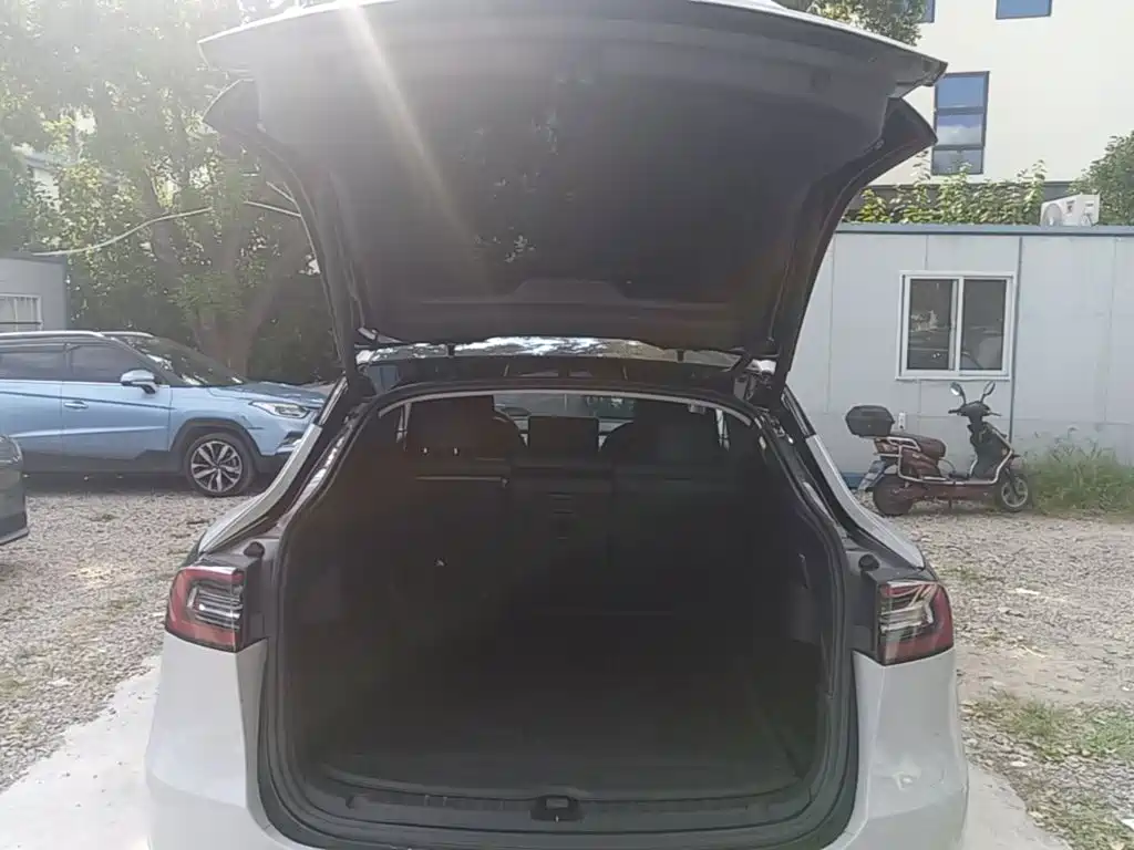 Tesla Model Y — миниатюра 19