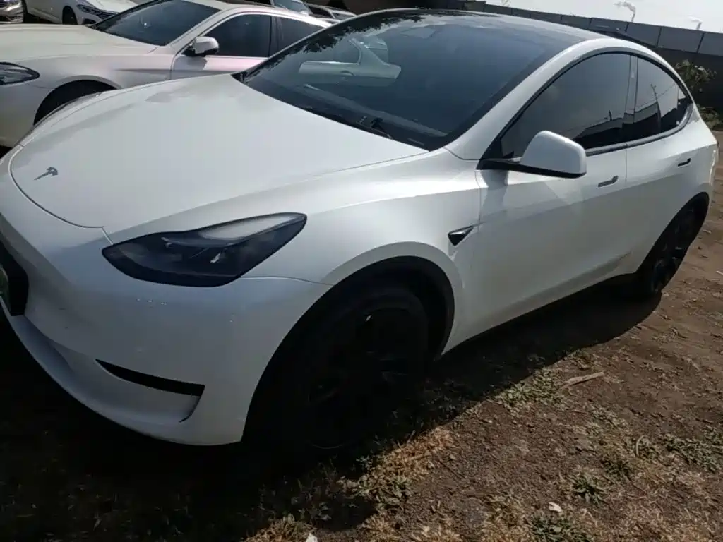 Tesla Model Y — миниатюра 2