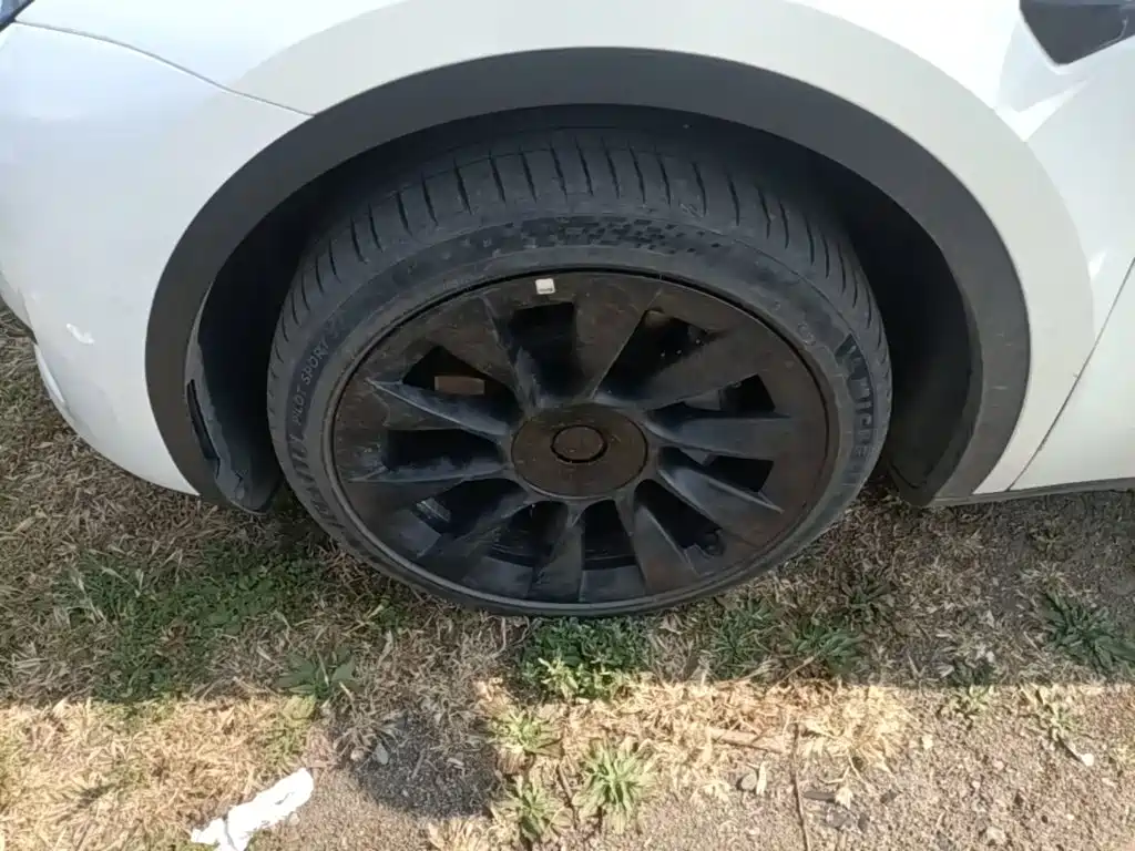 Tesla Model Y — миниатюра 23