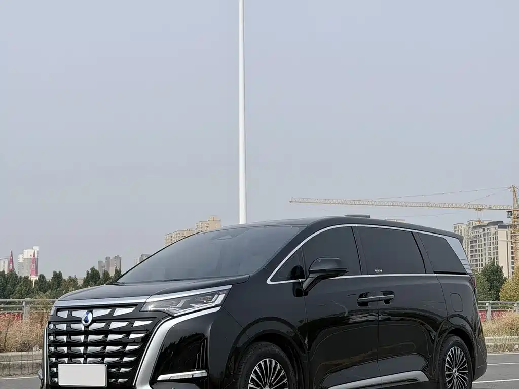 Denza Denza D9