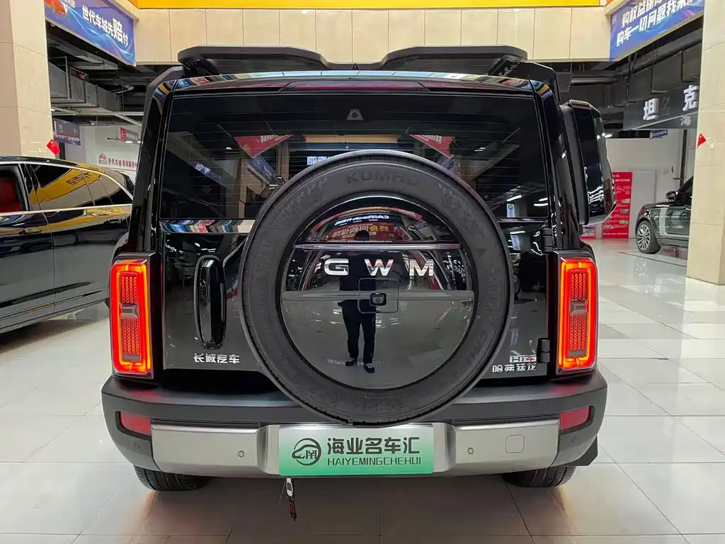 Haval Menglong New Energy — миниатюра 5