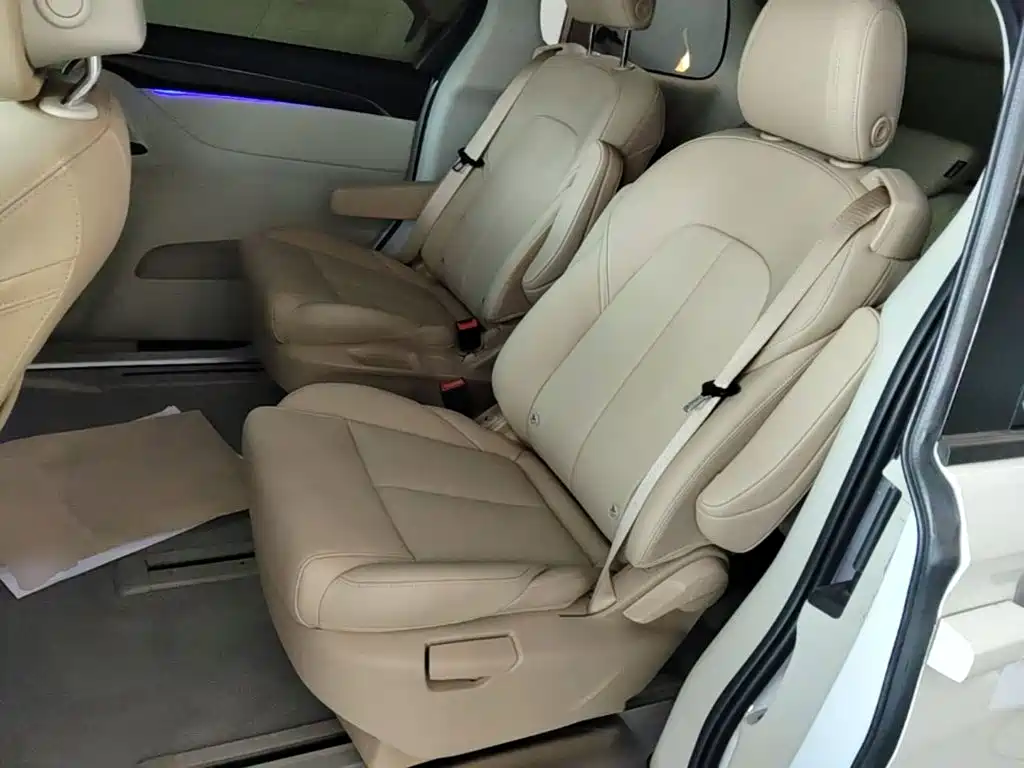 Buick GL8 — миниатюра 17