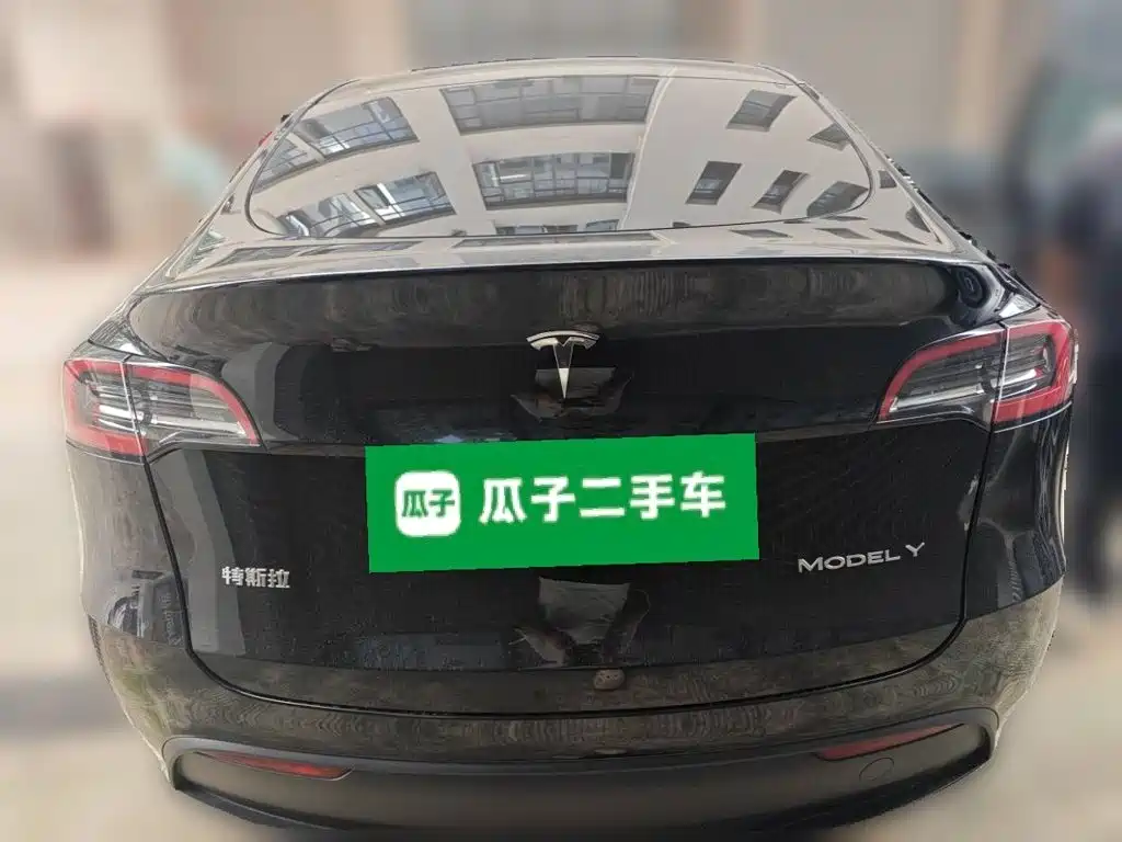 Tesla Model Y — миниатюра 3