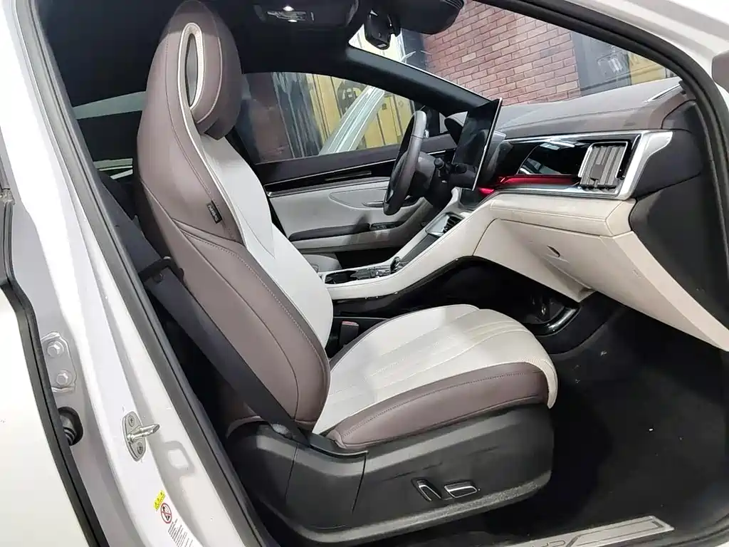 BYD PLUS New Energy — миниатюра 10