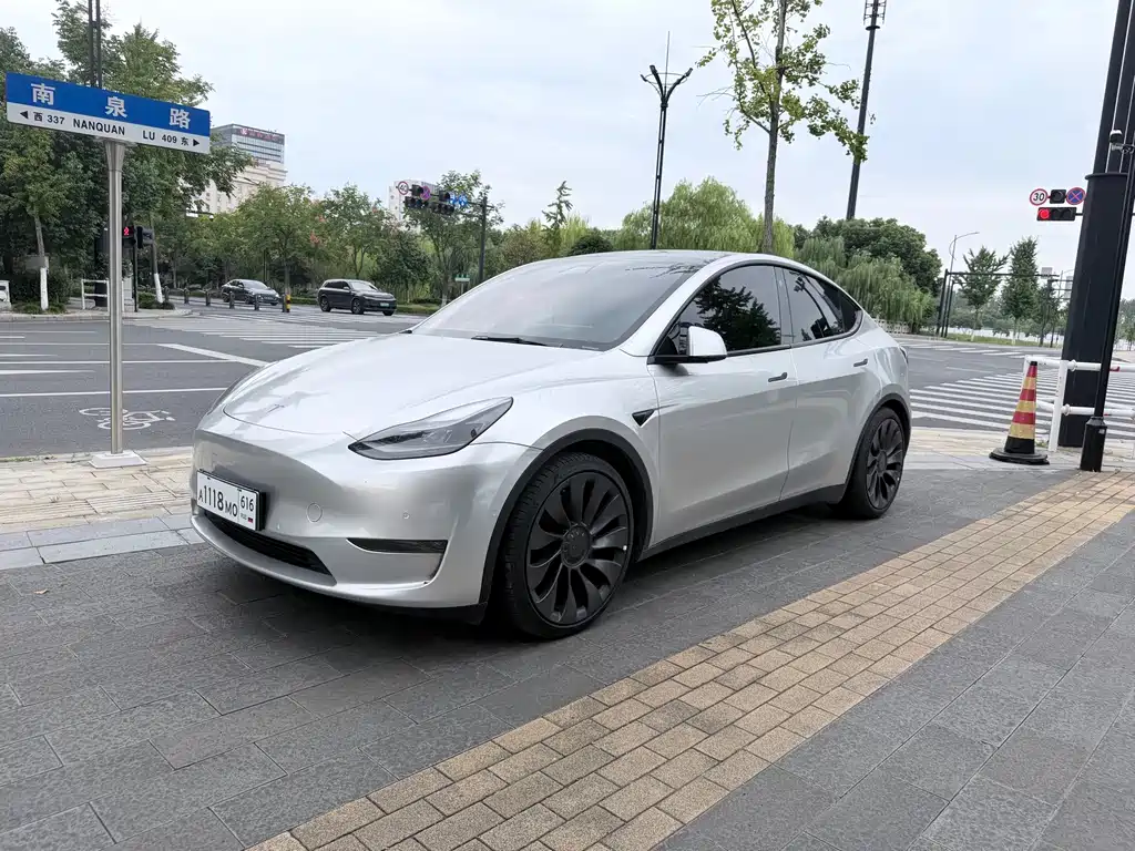 Tesla Model Y — миниатюра 2