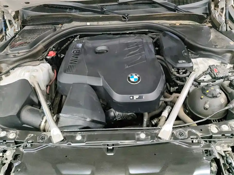 BMW 5 Series 5 2024 530Li Lead Luxury