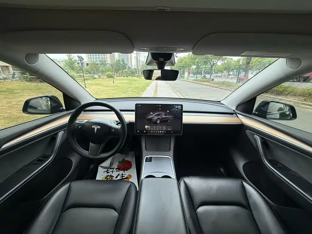 Tesla Model Y — миниатюра 5