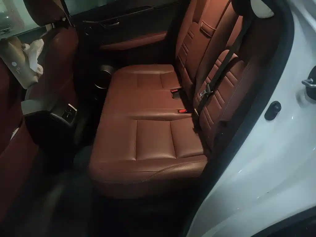 Lexus NX — миниатюра 15