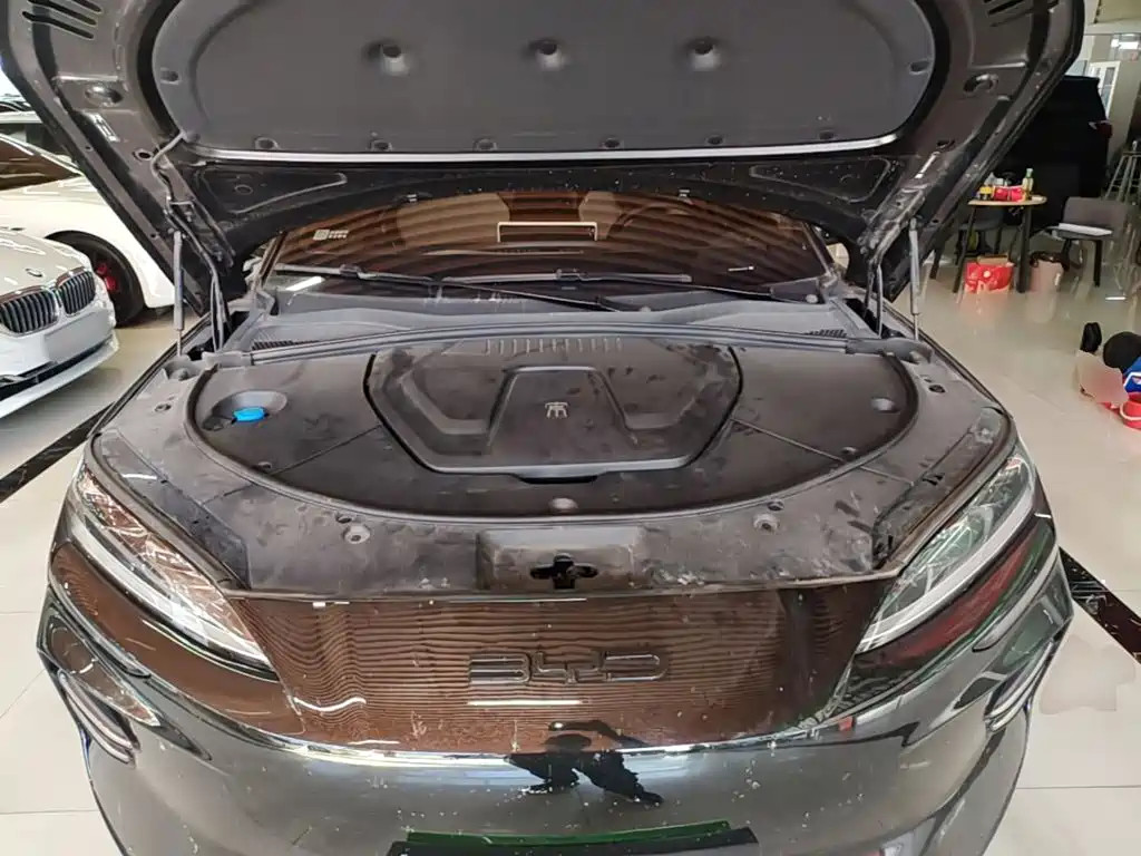 BYD PLUS New Energy — миниатюра 20
