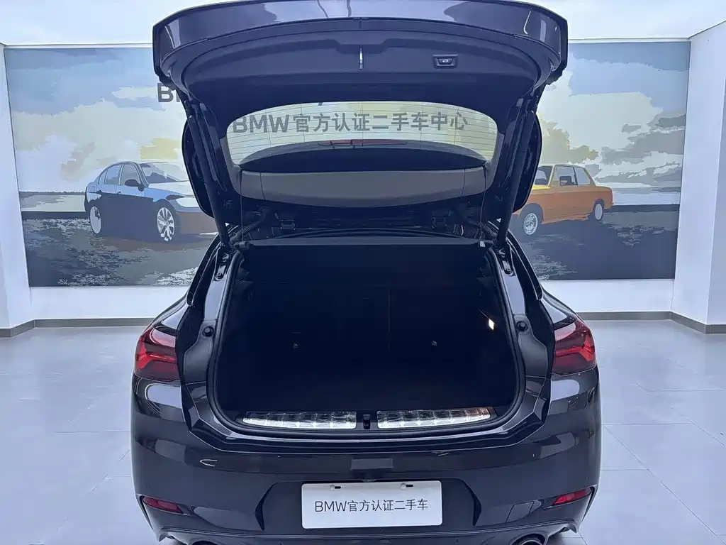 BMW X2 sDrive25i Leading Type M Offroad Package, фото 7