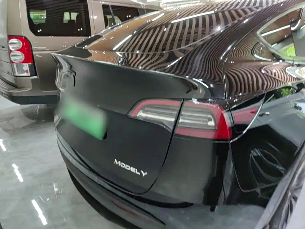 Tesla Model Y — миниатюра 6