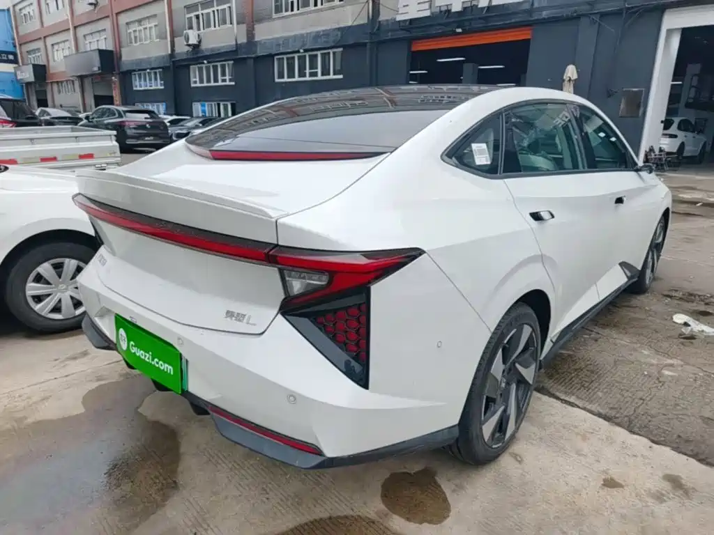 Lingxi Lingxi L — миниатюра 7