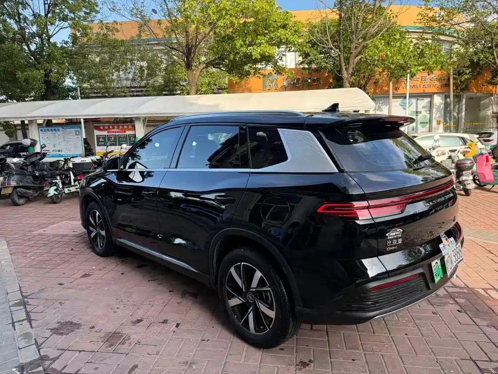 BYD Pro New Energy — миниатюра 9
