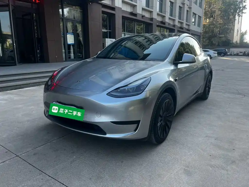 Tesla Model Y — миниатюра 2