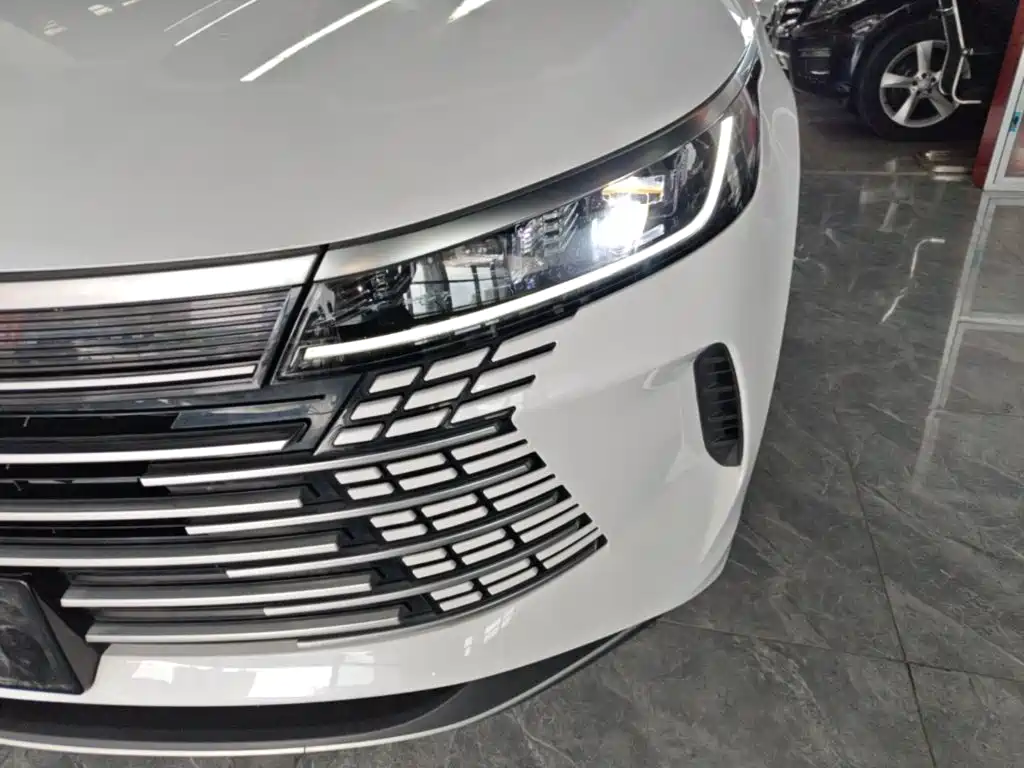 BYD Destroyer 05 — миниатюра 24