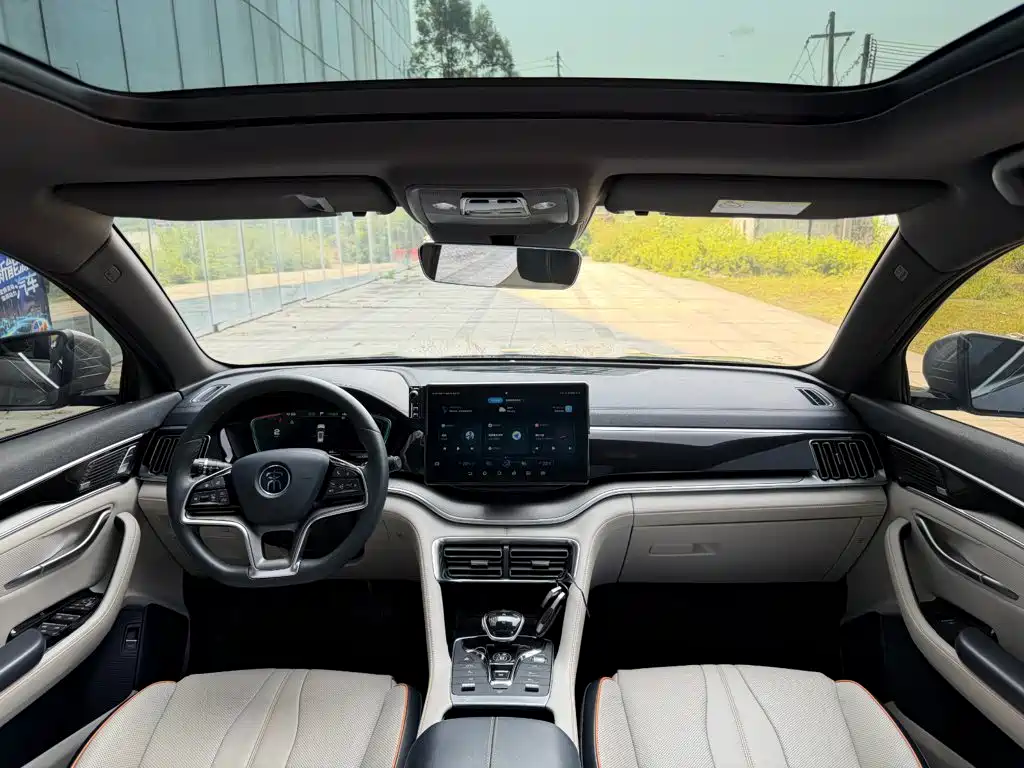 BYD PLUS New Energy — миниатюра 16
