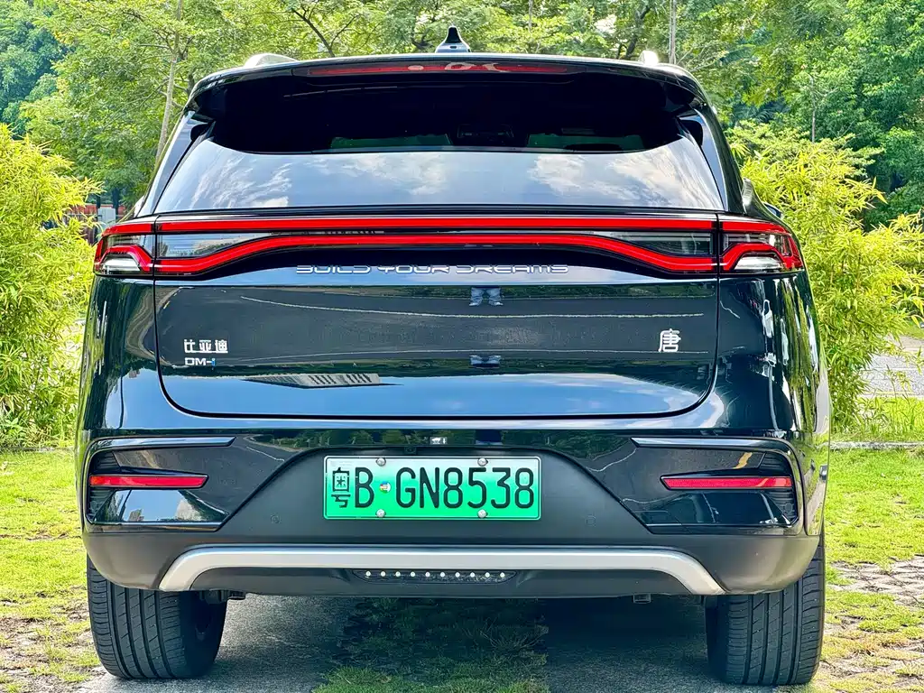 BYD Tang New Energy — миниатюра 11