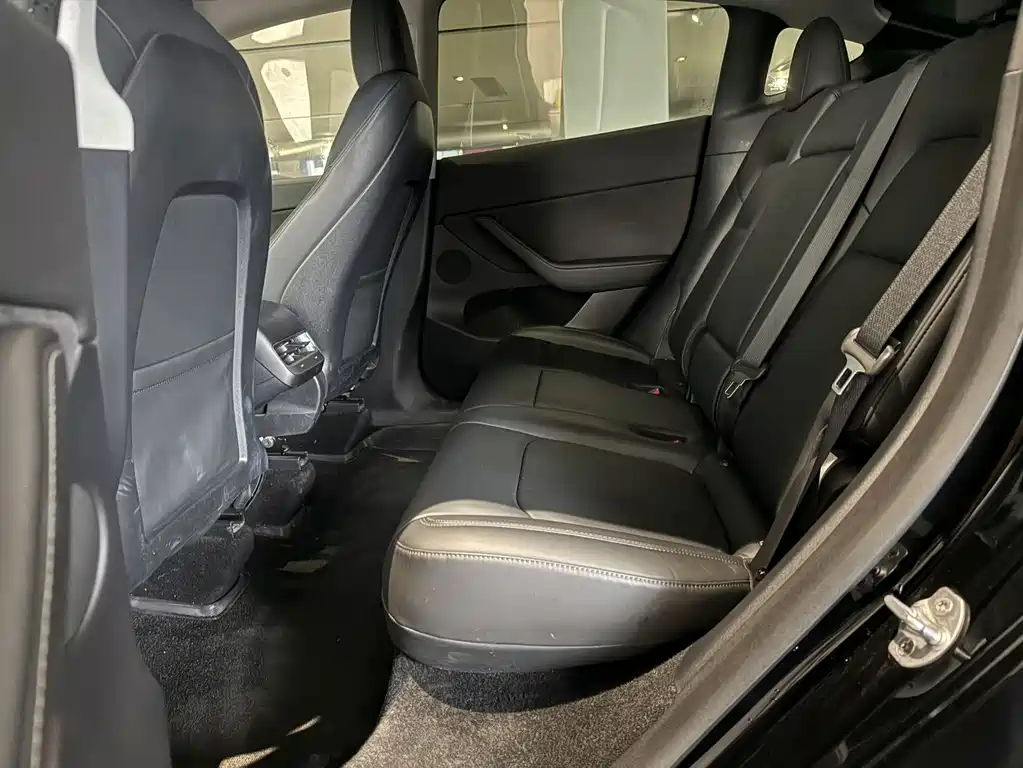 Tesla Model Y — миниатюра 4