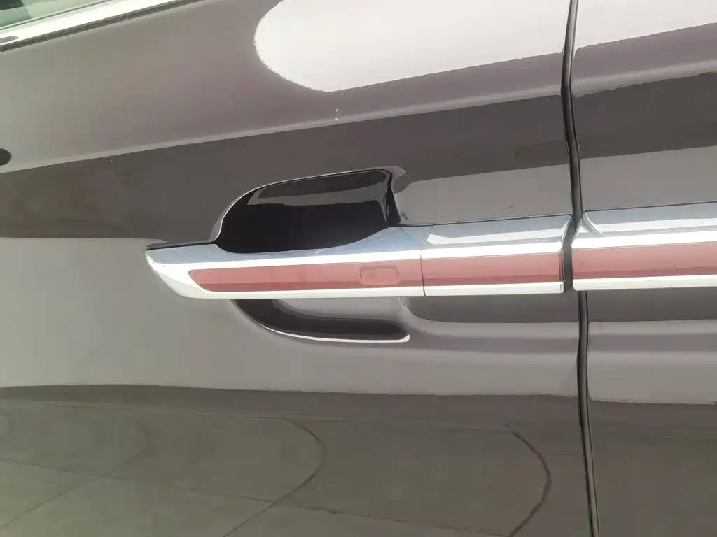 Hongqi Hongqi HQ9 — миниатюра 18