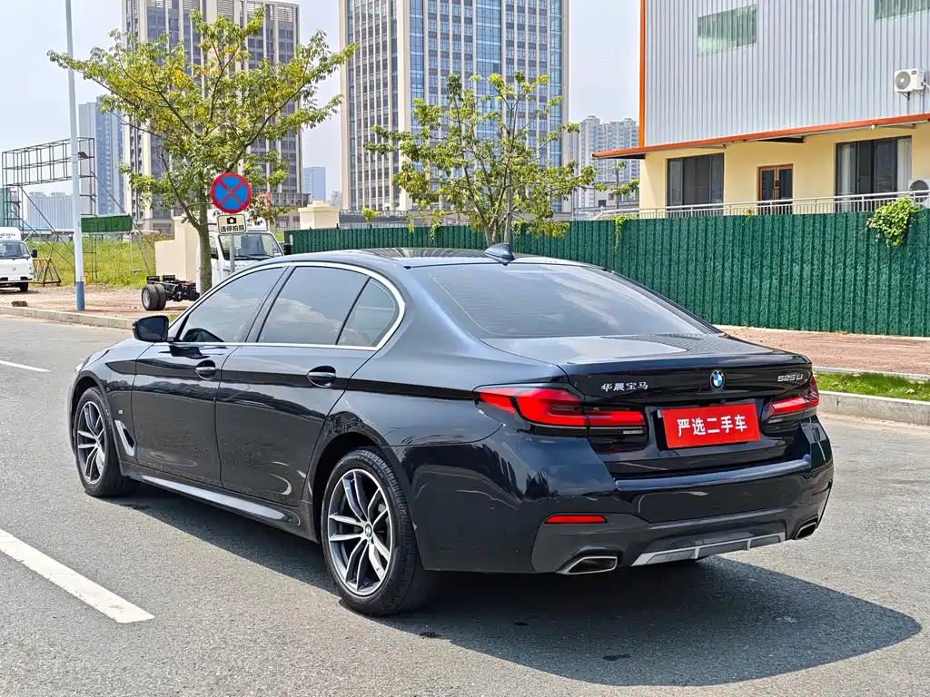 BMW 5 Series — миниатюра 4