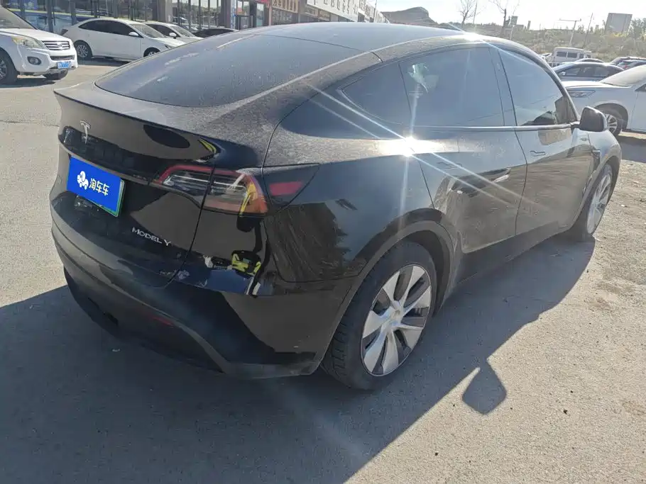 Tesla Model Y — миниатюра 3