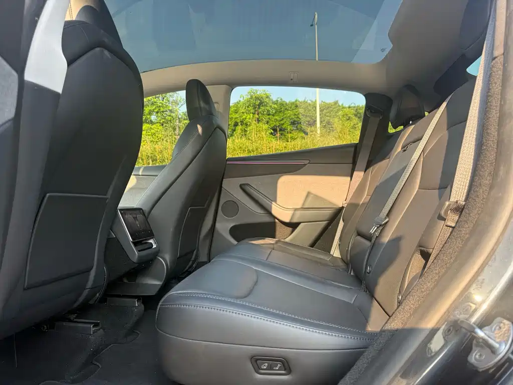 Tesla Model Y — миниатюра 8