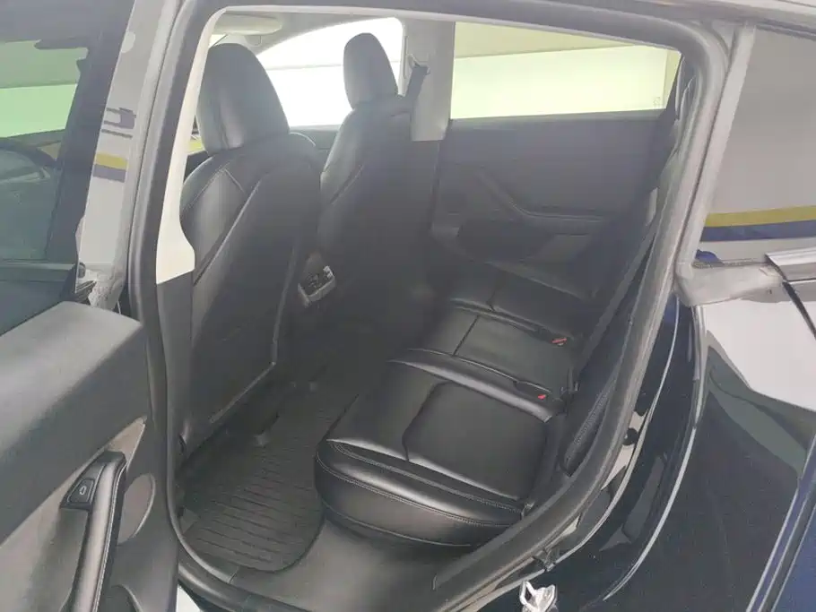 Tesla Model Y — миниатюра 11