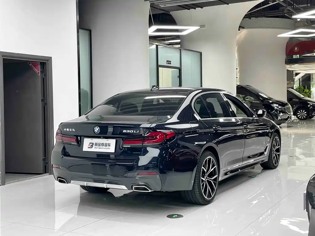 BMW 5 Series — миниатюра 15