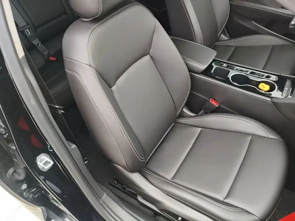 Buick Regal — миниатюра 25