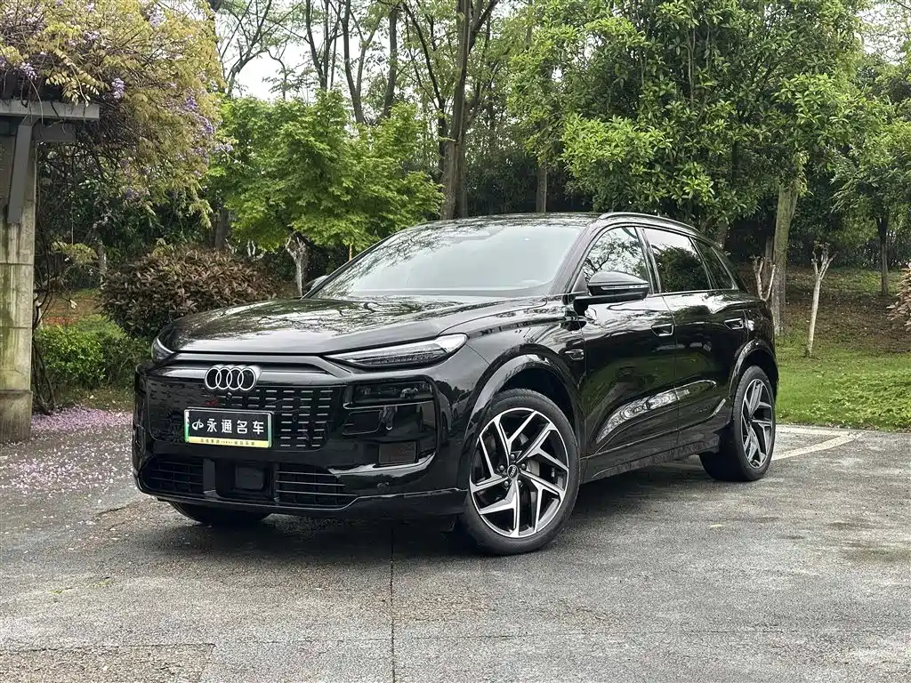 Audi 奥迪Q6L e-tron 2025