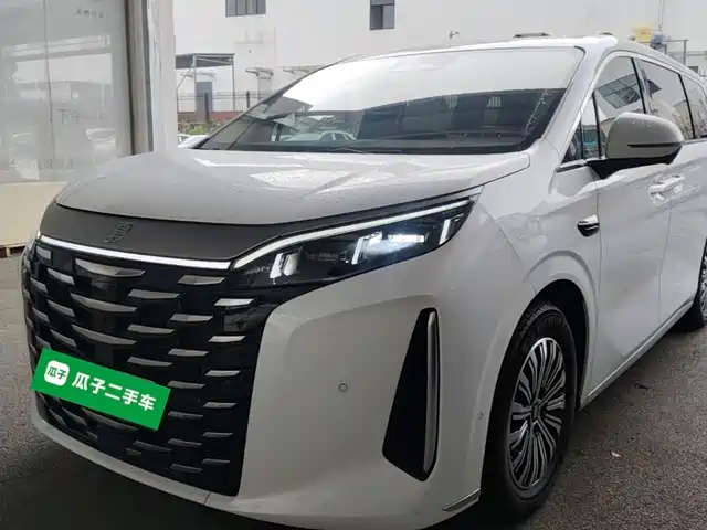 2025 BYD
