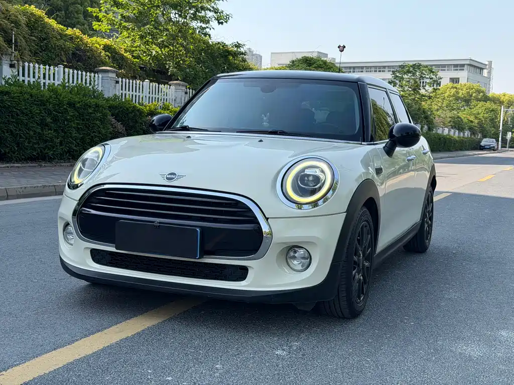 Mini Mini 2018