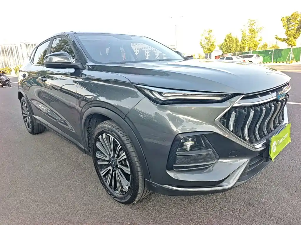 Oshan Oushang X5 — миниатюра 4