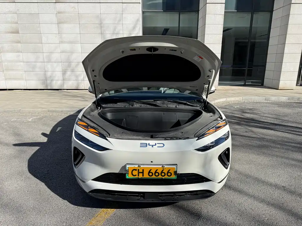 BYD SEA LION 06 NEW ENERGY