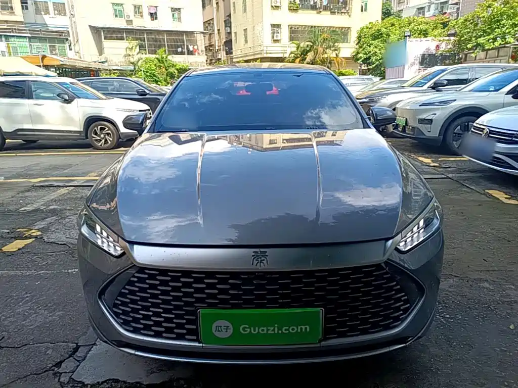 BYD Qin Plus PLUS 2024 DM-i 55KM Lead