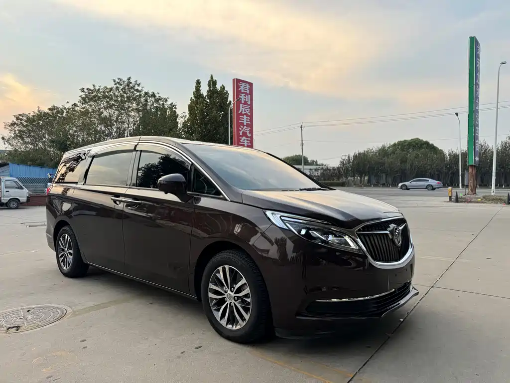 Buick GL8 — миниатюра 5