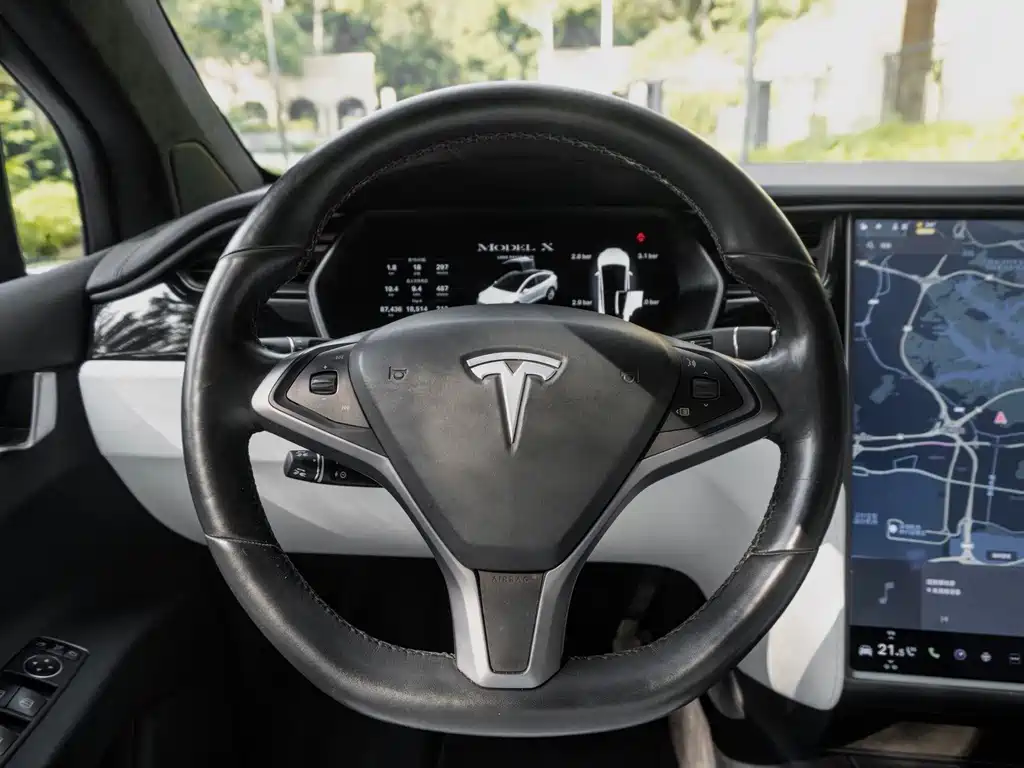 Tesla Model X — миниатюра 10