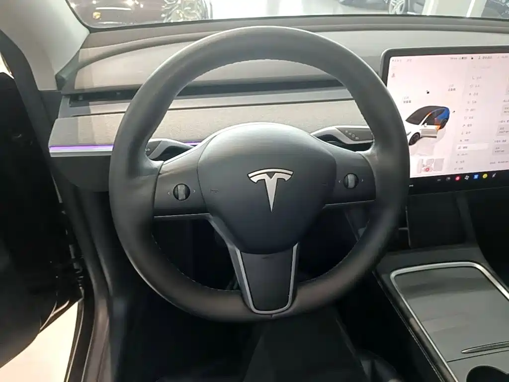 Tesla Model Y — миниатюра 11