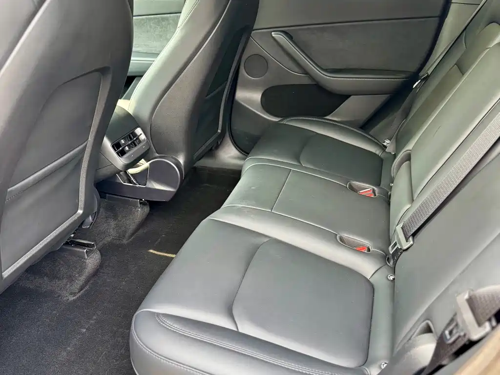 Tesla Model Y — миниатюра 10