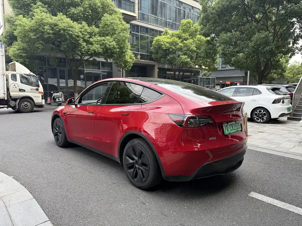 Tesla Model Y — миниатюра 9