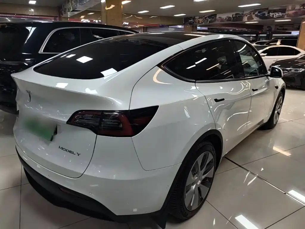 Tesla Model Y — миниатюра 7