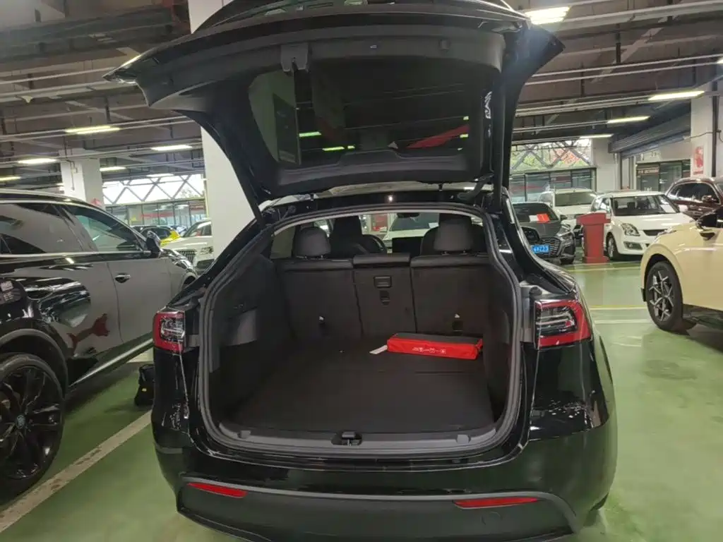 Tesla Model Y — миниатюра 19