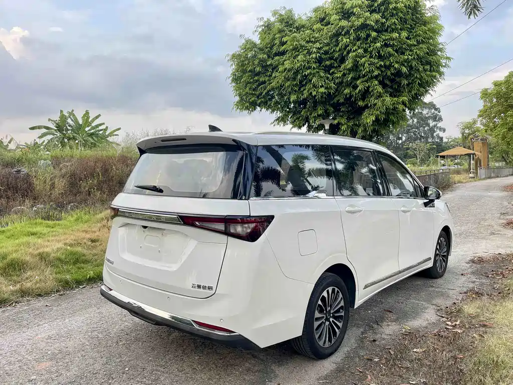 Wuling Jiachen — миниатюра 5
