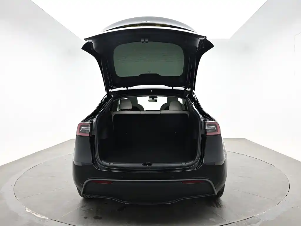 Tesla Model Y — миниатюра 8