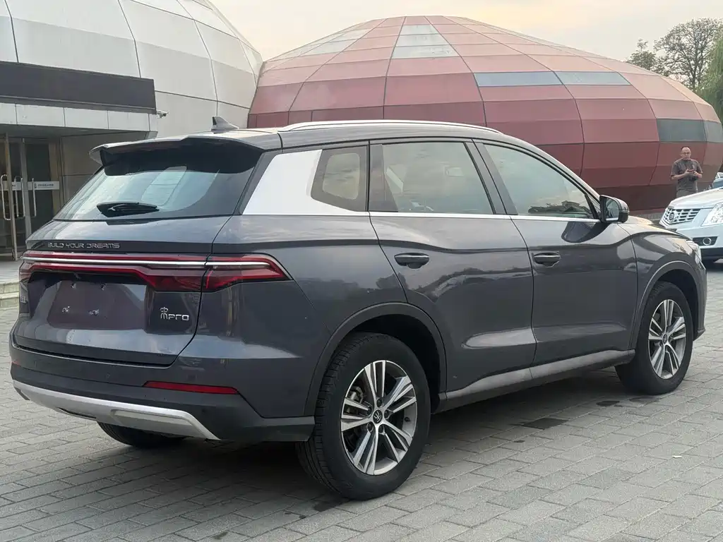 BYD Pro — миниатюра 4