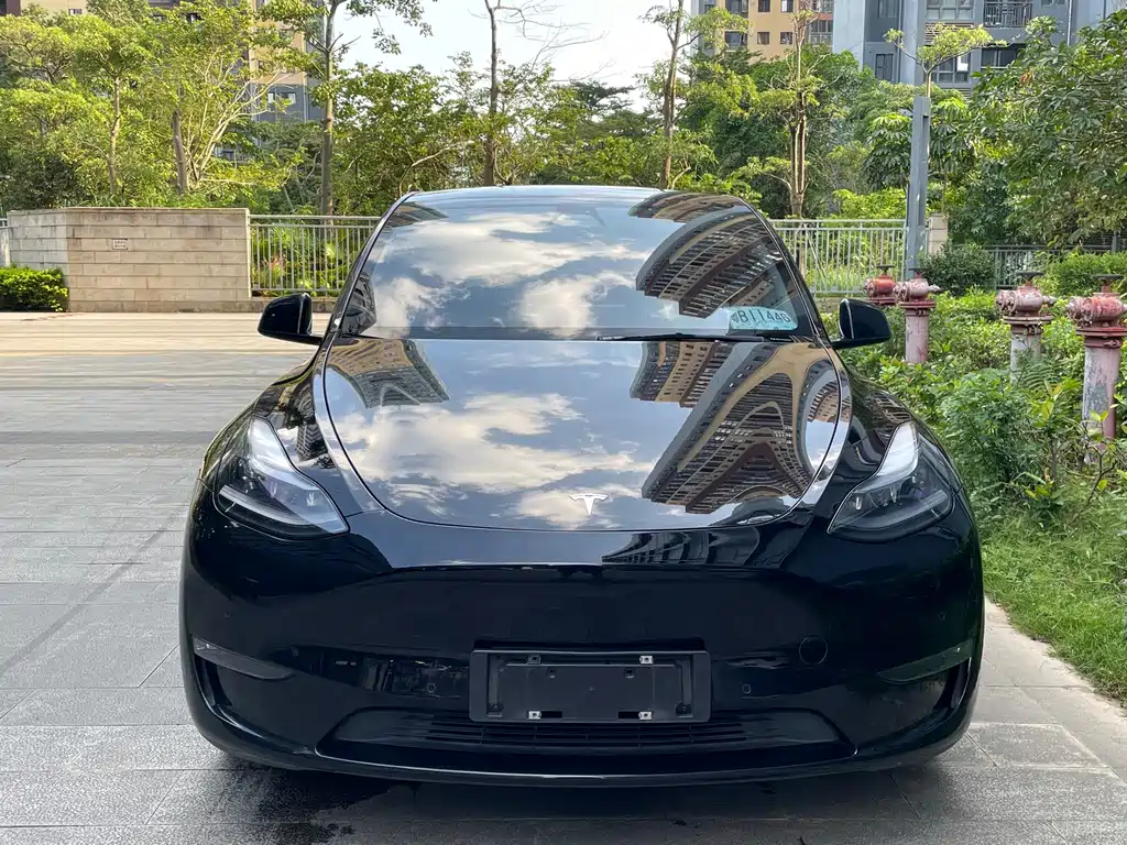 Tesla Model Y — миниатюра 5