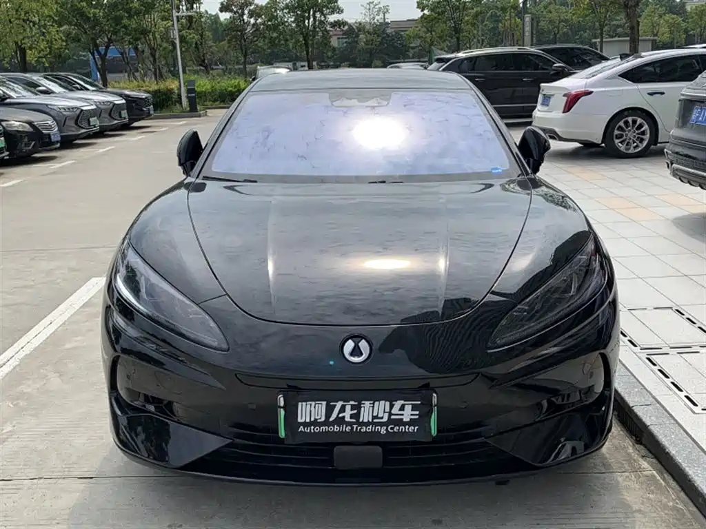 Denza Z9GT 2024 1100 Max