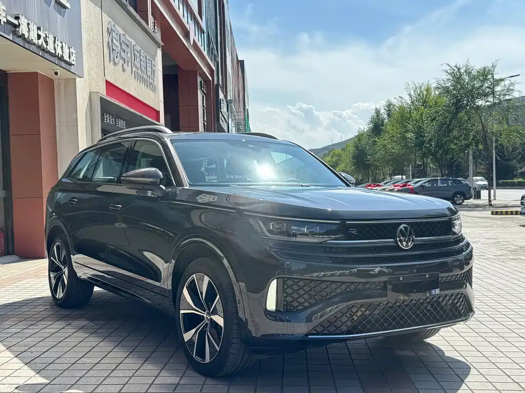 Volkswagen Tavendor — миниатюра 3